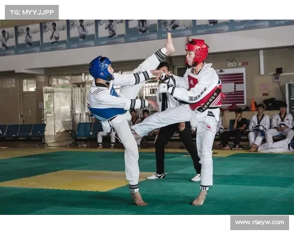 跆拳道技巧与训练方法探析：从基础动作到高级技法的全面解析